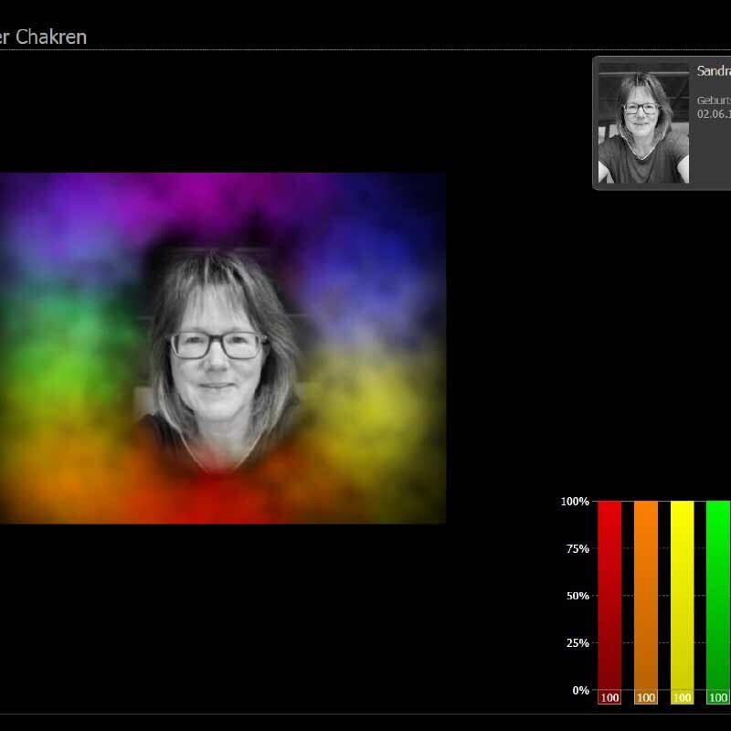 medionik-praxis-forumleben-saland Medionik Therapie Auraausgleich Tiergefluester