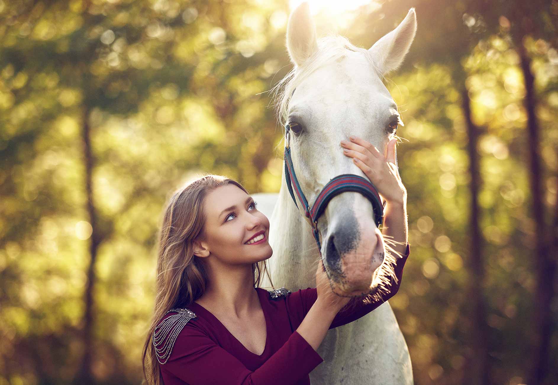 Praxis Tiertherapie und Ausbildung Tierkommunikation und Tierhalter