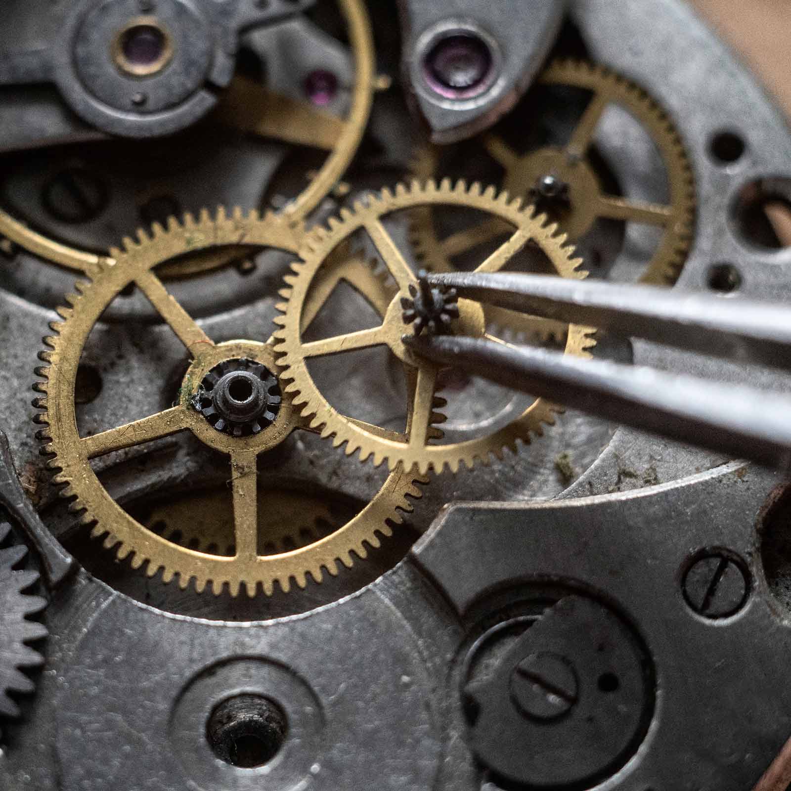 Funktionale-Medizin Funktionale Medizin Sandra Carrara Saland