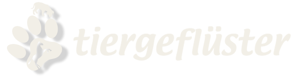 Online Ausbildung Tierenergetikerin