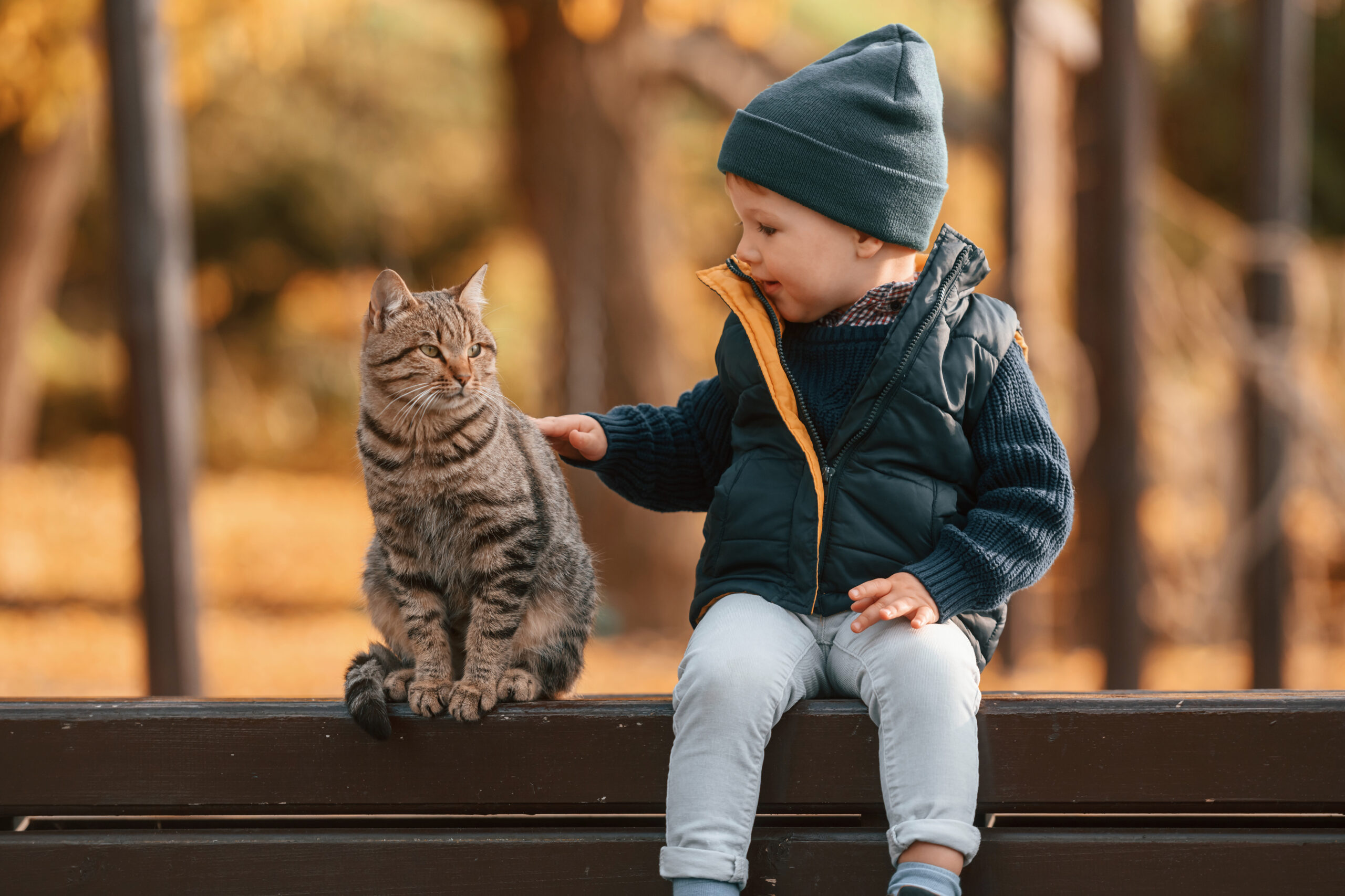 Young boy is sitting on the bench with cute cat outdoors